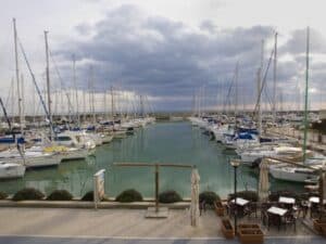 Il provvedimento del sindaco di Roma abolisce la storica area per animali a Ostia